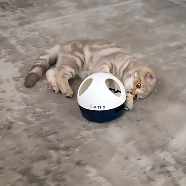Ratita de Juguete con Cola Móvil para Gatos
